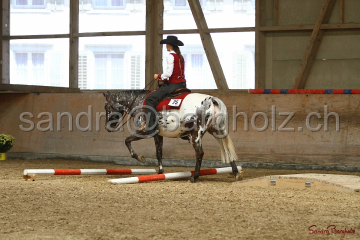 28-ApHC OT_283.jpg